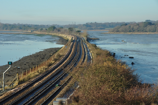 30 12 14_0135.JPG - DWT WALK - HOLES BAY, POOLE HARBOUR DORSET - 30.12.14